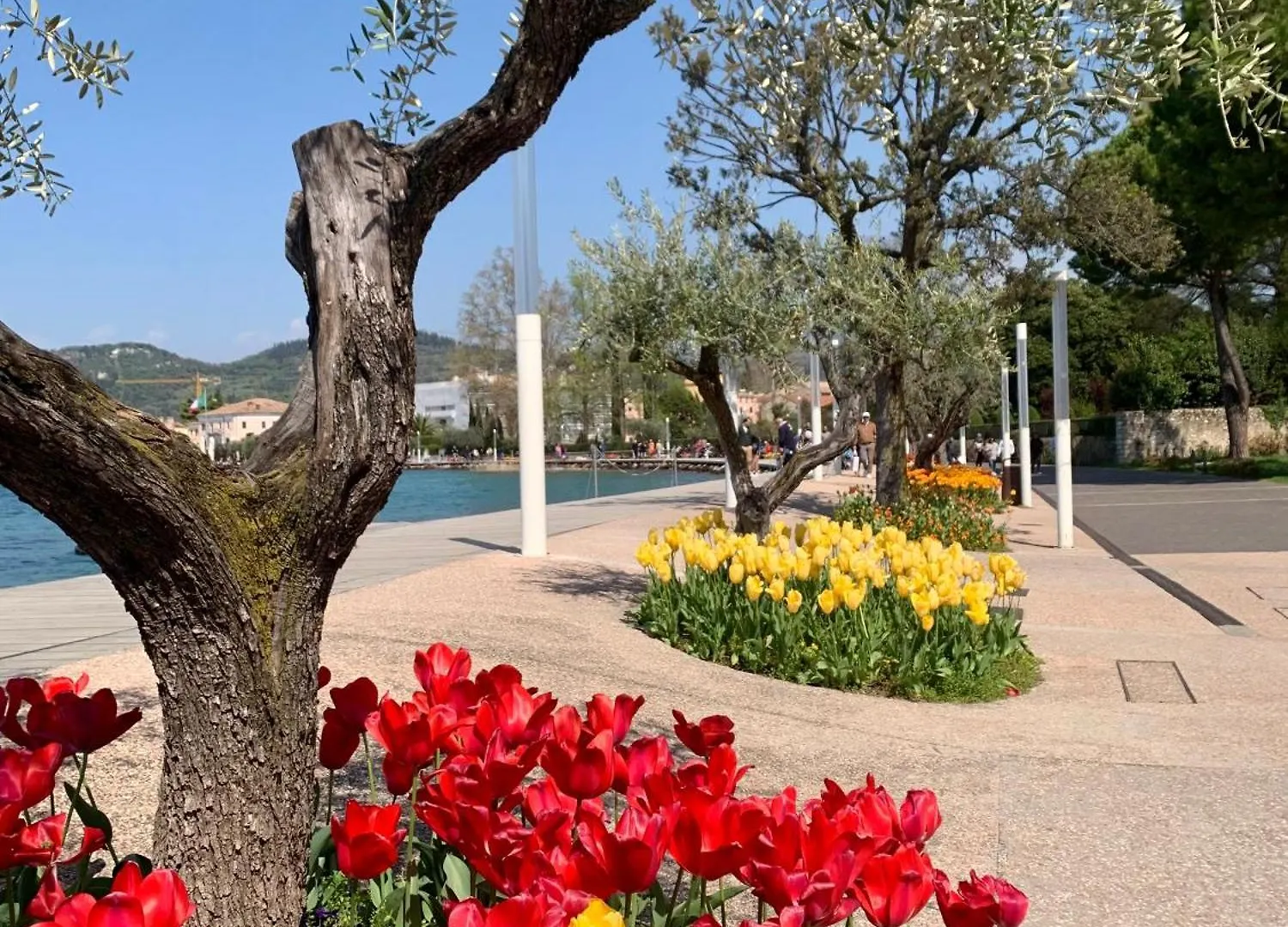 Idyllische Wohnung Mit Garten Und Pool Bardolino Apartment